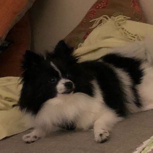 Meet your Posher, Anna